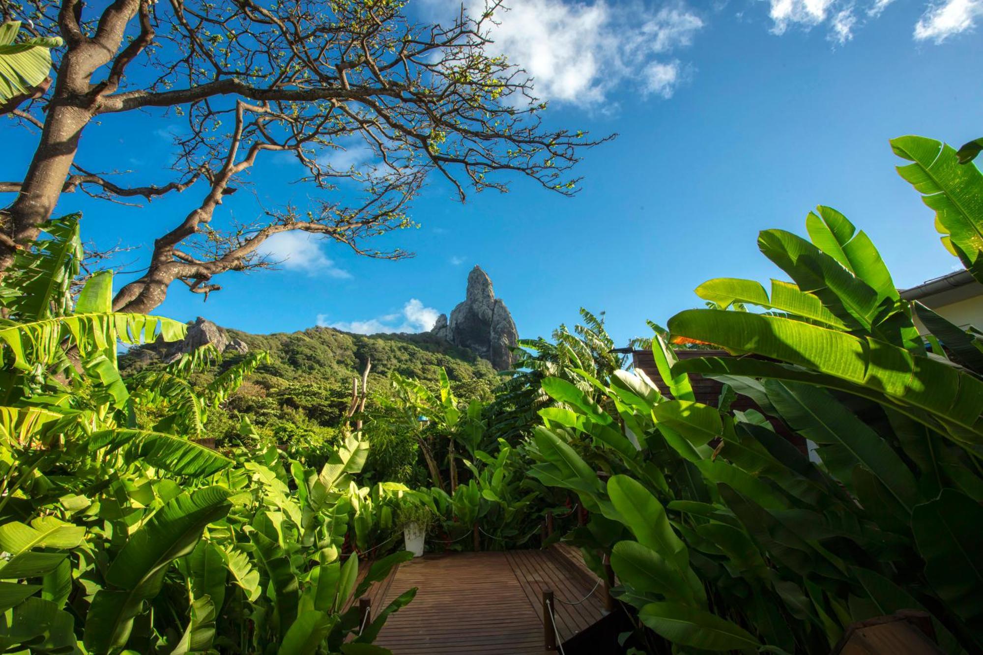 Dolphin 3* Fernando de Noronha