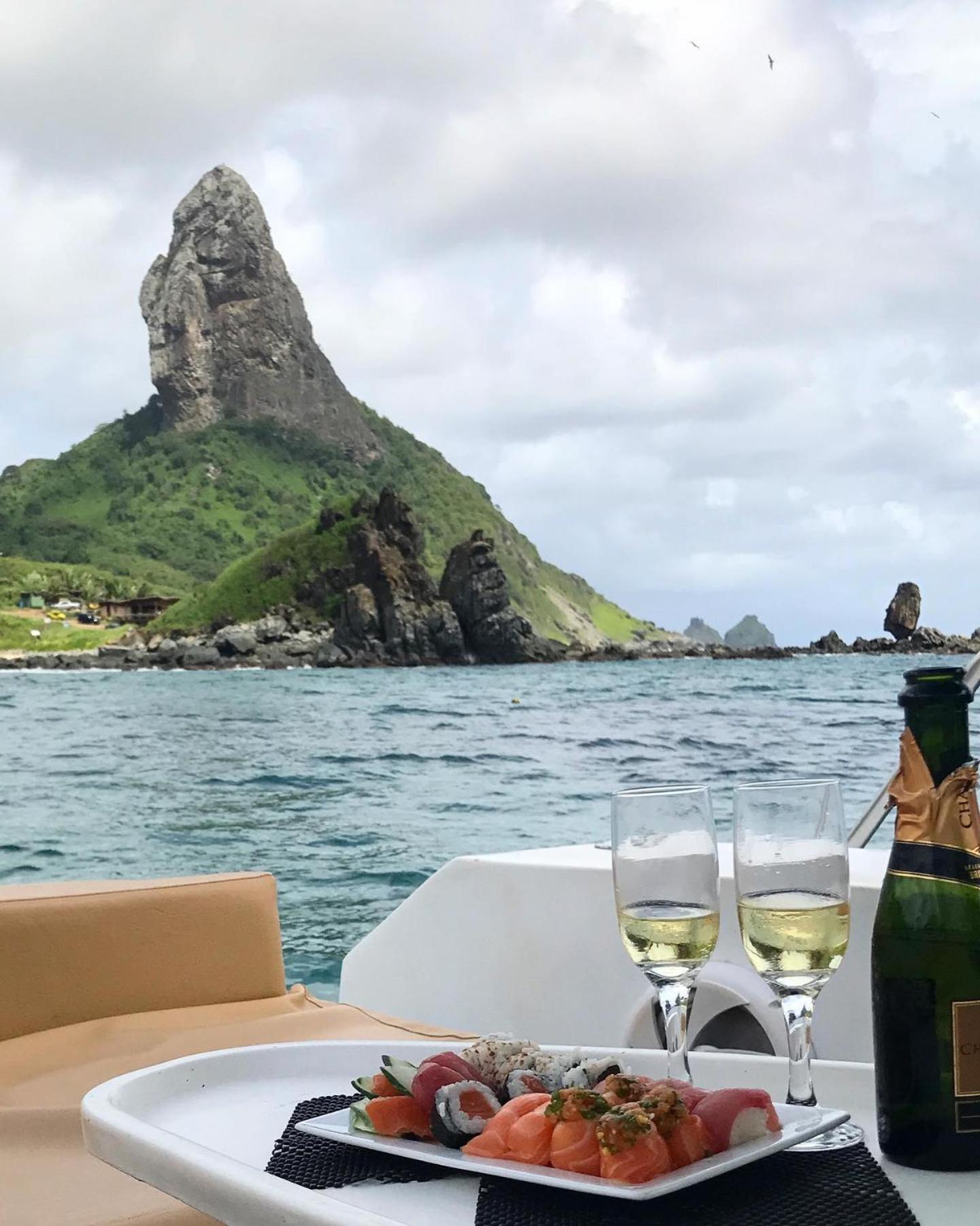 Dolphin Fernando de Noronha